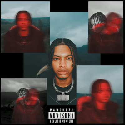 DO NOT DISTURB (DELUXE) cover